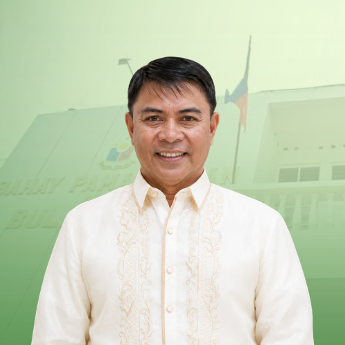 HON. ROMEO O. FALLARIA